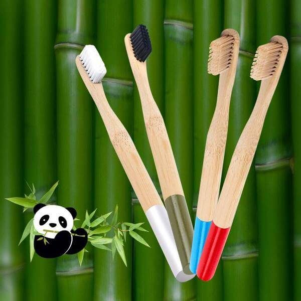 Reusable & Biodegradable toothbrushes